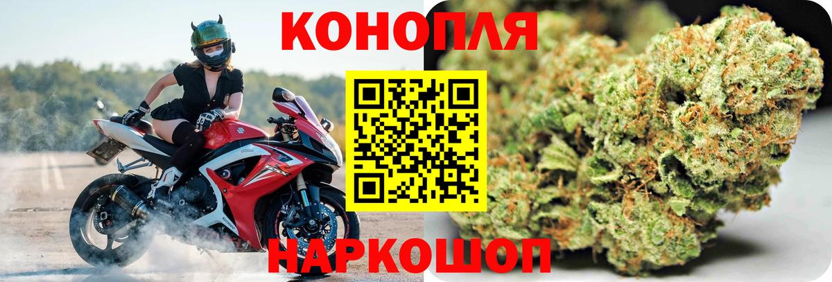 Бошки марихуана конопля Верхняя Пышма